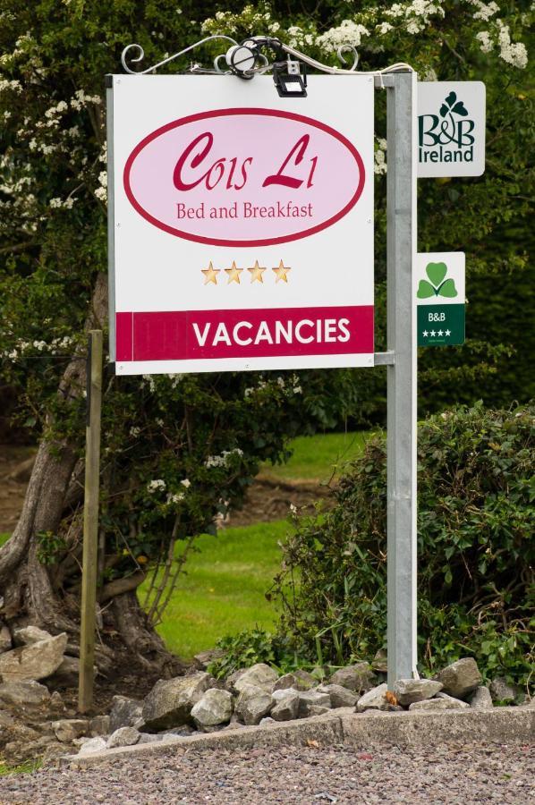 Cois Li B&B Tralee Zewnętrze zdjęcie